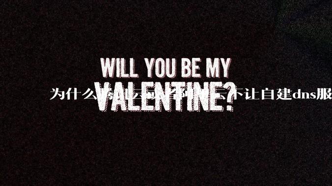 为什么腾讯云或者阿里云不让自建dns服务器?